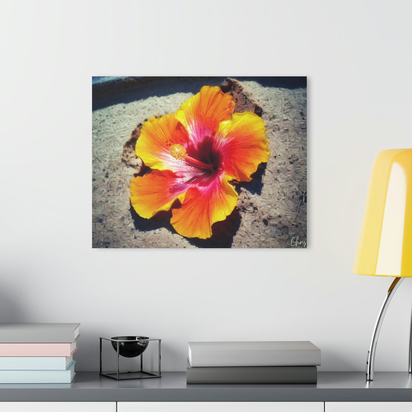Hibiscus Beach Acrylic Prints (French Cleat Hanging) - Chris Thompkins