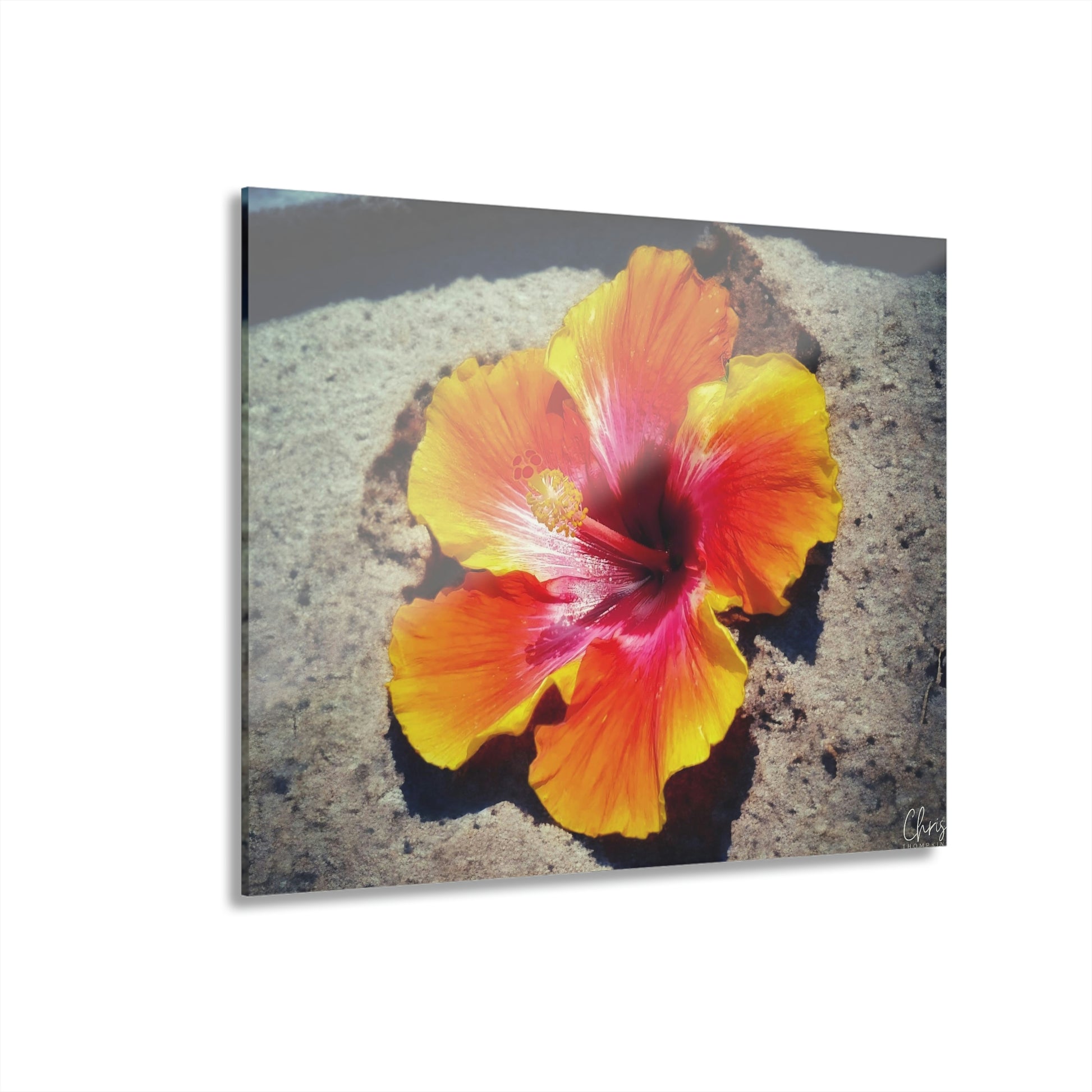 Hibiscus Beach Acrylic Prints (French Cleat Hanging) - Chris Thompkins
